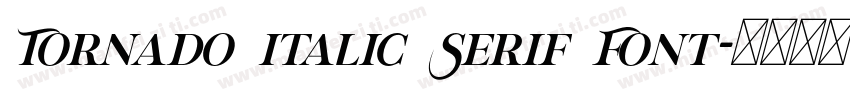 Tornado Italic Serif Font字体转换